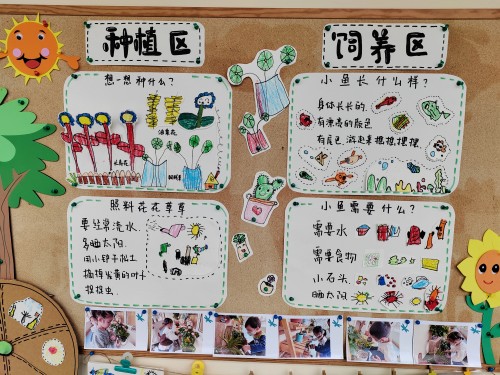 自4.jpg